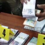 5d769396-be22-43dd-9e6e-4f5259f17d8b